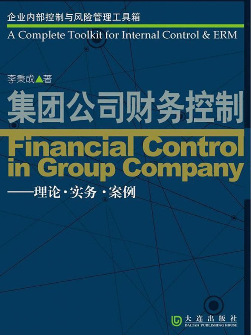 集团公司财务控制—理论·实务·案例(企业内部控制与风险管理工具箱)