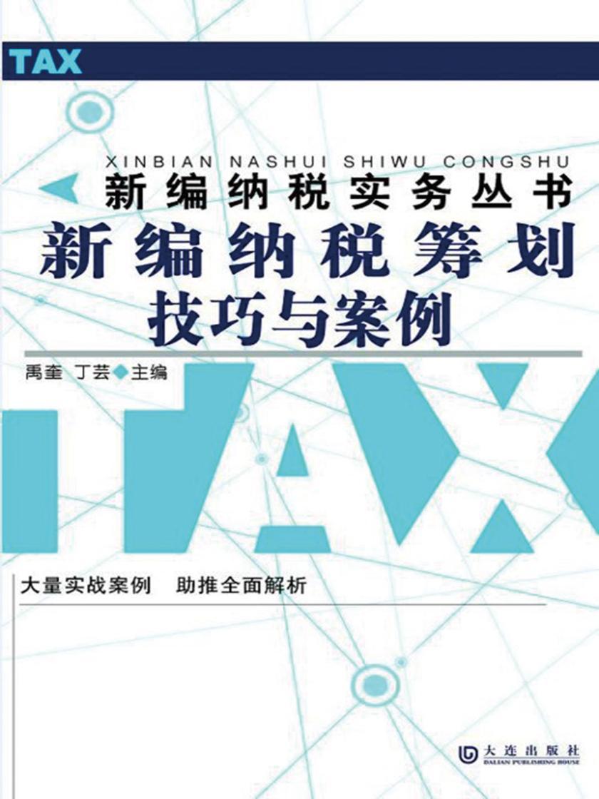 新编纳税筹划技巧与案例(新编纳税实务丛书)