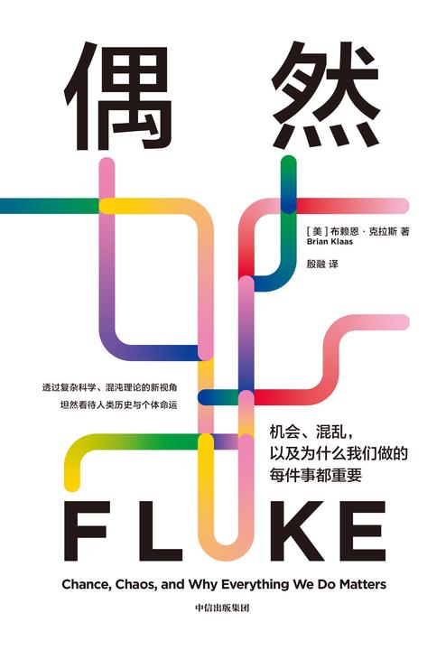 偶然:机会、混乱,以及为什么我们做的每件事都重要