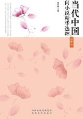 当代中国闪小说精华选粹——幽默卷