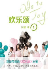 欢乐颂第一季