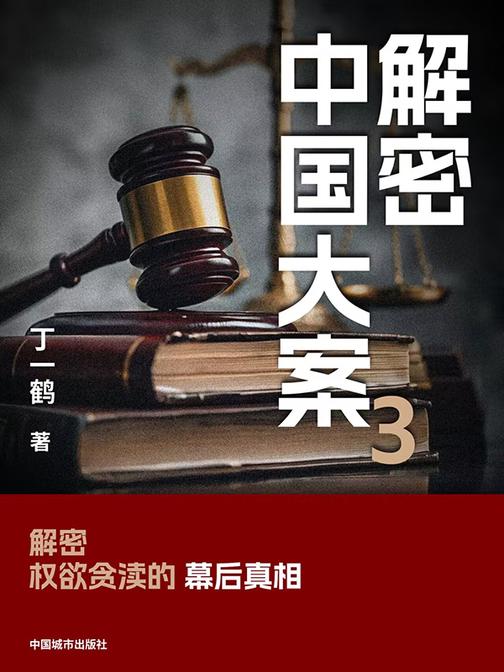 解密中国大案3