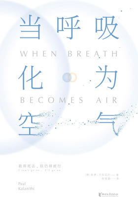 当呼吸化为空气(免费精选版)