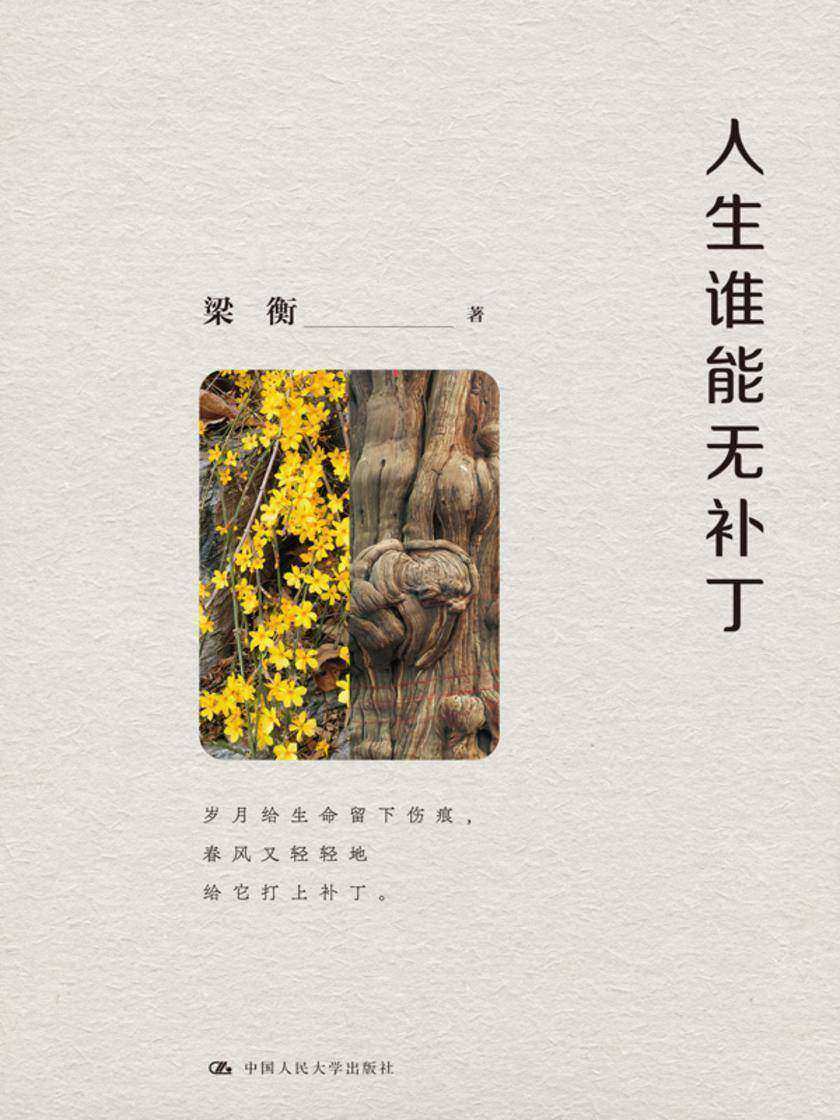 人生谁能无补丁