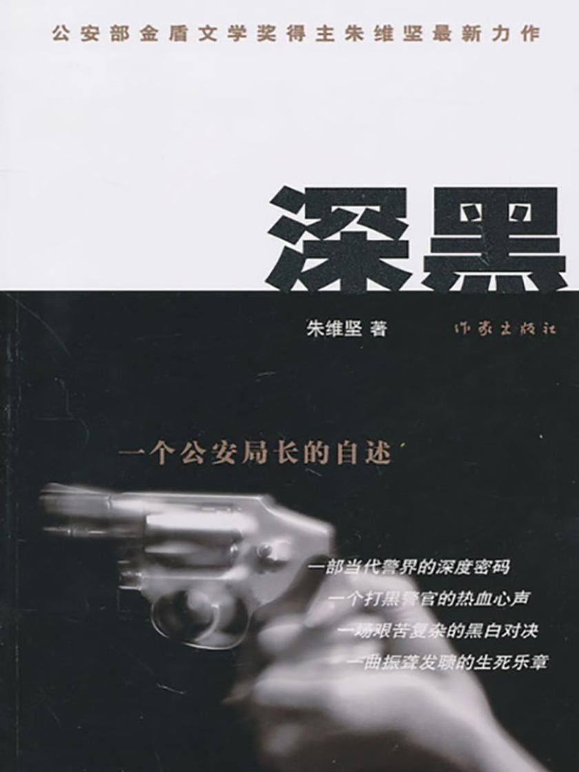 深黑:一个公安局长的自述