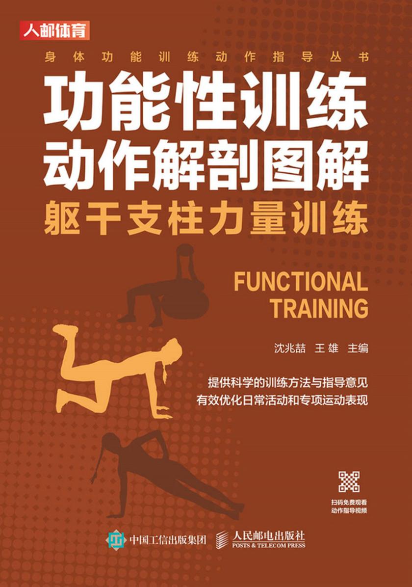 功能性训练动作解剖图解:躯干支柱力量训练