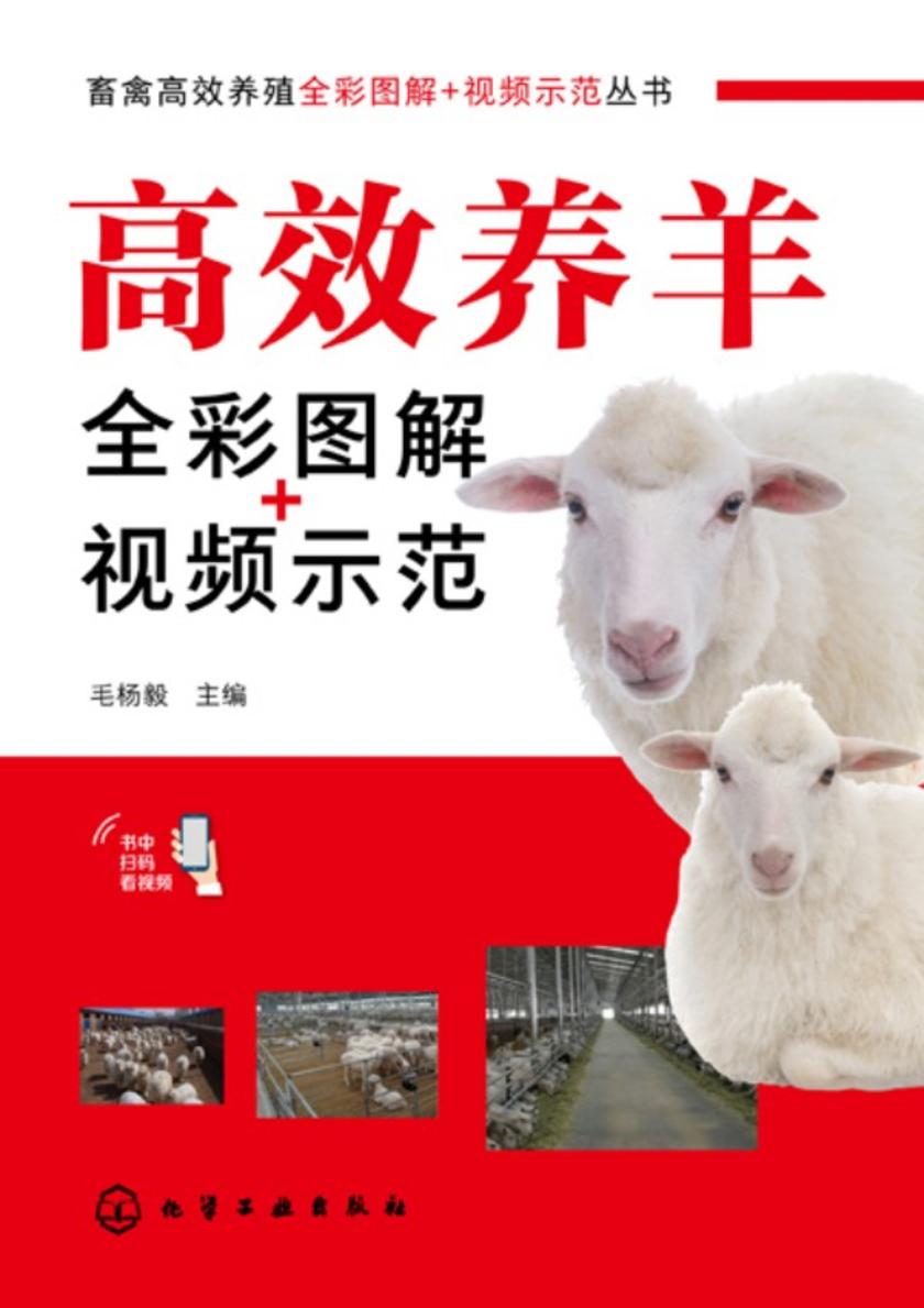 畜禽*养殖全彩图解+视频示范丛书--*养羊全彩图解+视频示范