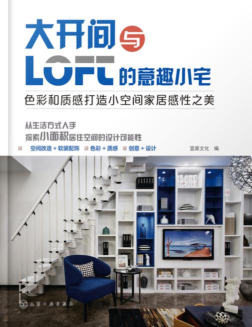 大开间与loft的意趣小宅--色彩和质感打造小空间家居感性之美