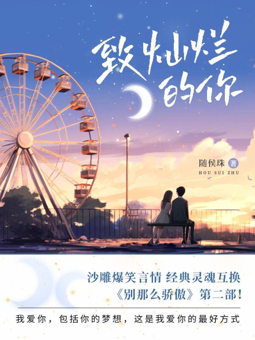 致灿烂的你