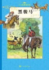 黑骏马(中文版)