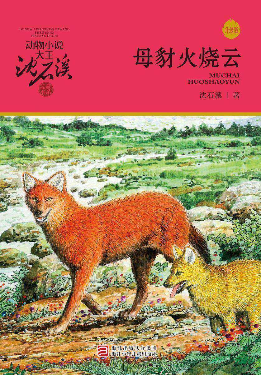 母豺火烧云(升级版)(动物小说大王沈石溪·品藏书系)