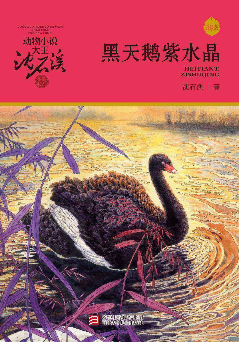 黑天鹅紫水晶(升级版)(动物小说大王沈石溪·品藏书系)