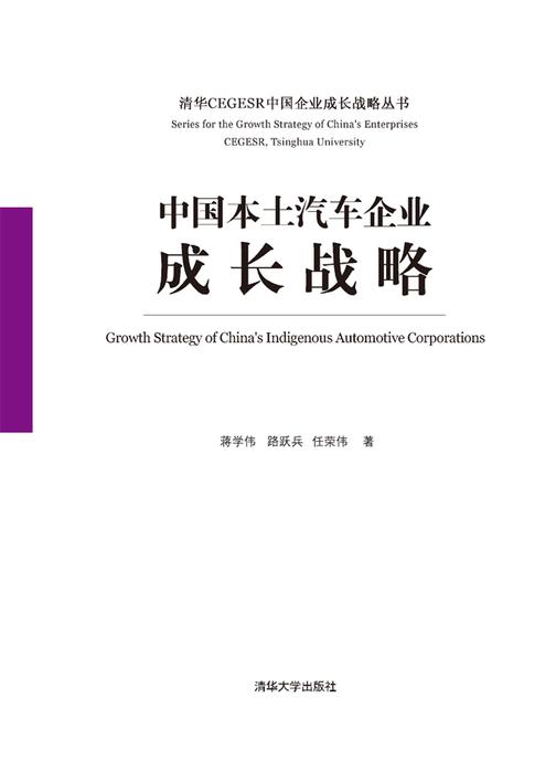 中国本土汽车企业成长战略