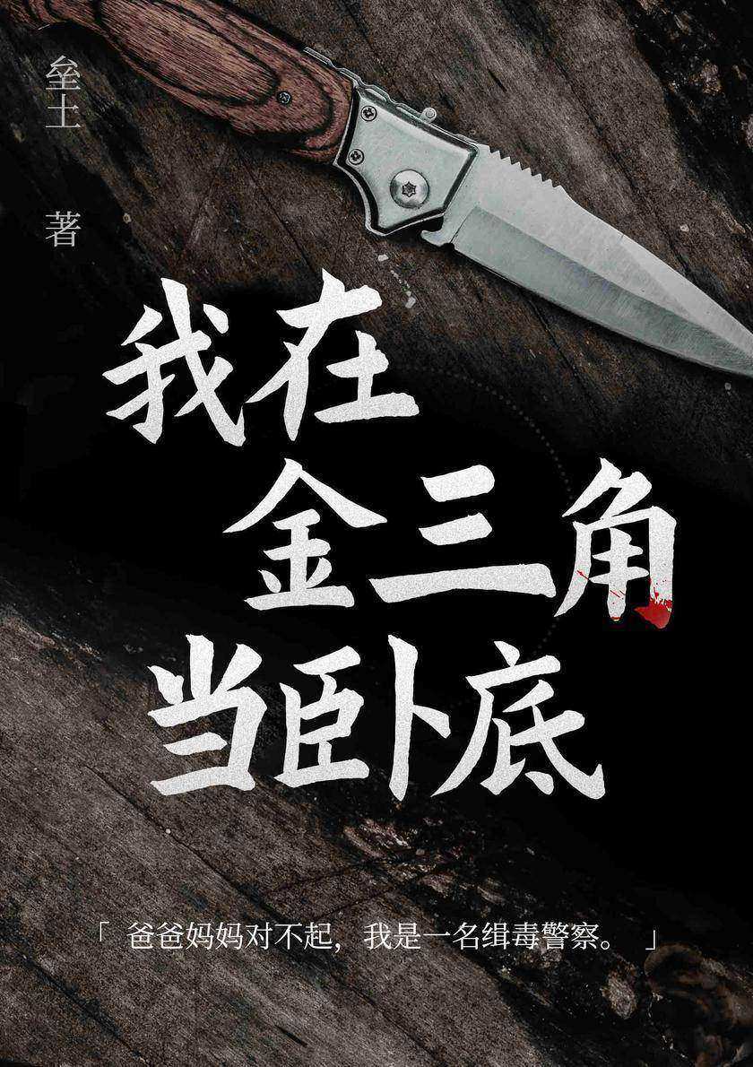 我在金三角当卧底