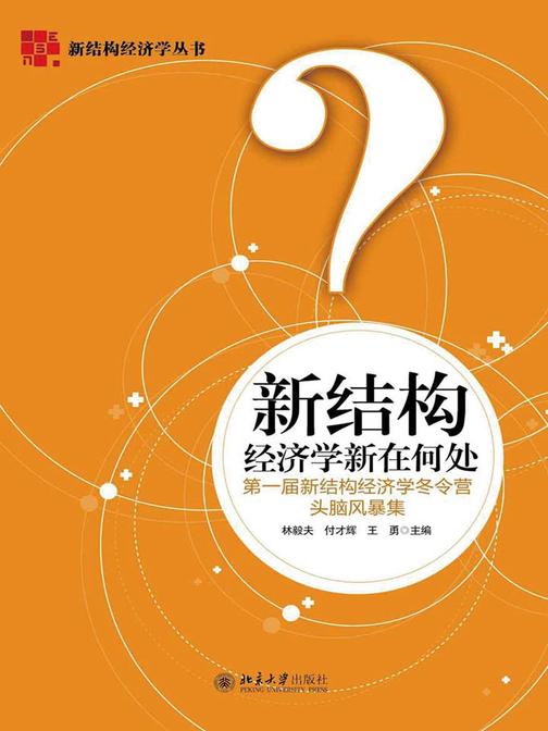 新结构经济学新在何处：第一届新结构经济学冬令营头脑风暴集(新结构经济学丛书)
