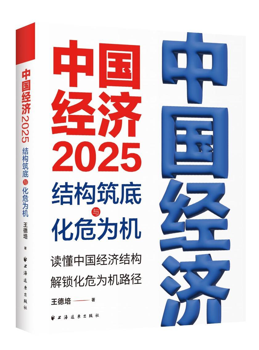 中国经济.2025:结构筑底与化危为机(读懂中国经济结构,解锁化危为机路径)