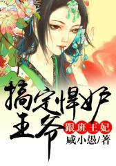 跟班王妃，搞定悍妒王爷