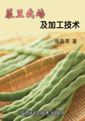 菜豆栽培及加工技术