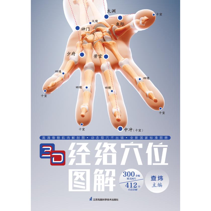 3D经络穴位图解