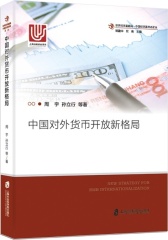 中国对外货币开放新格局(试读本)