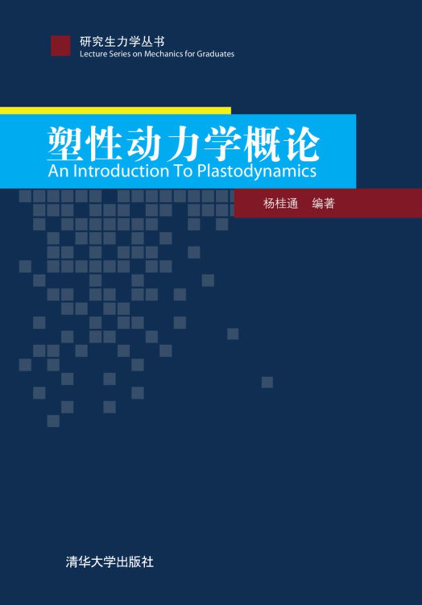 塑性动力学概论