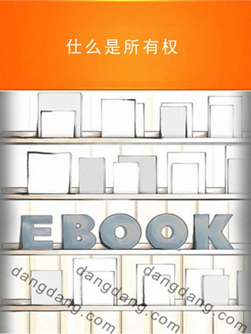 仕么是所有权