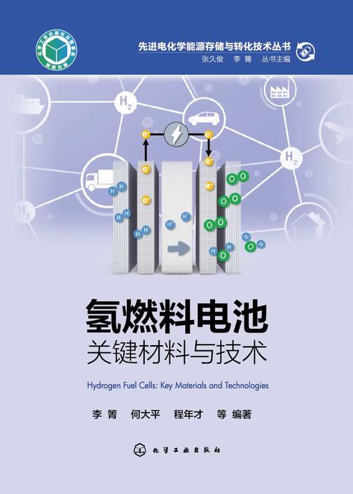 先进电化学能源存储与转化技术丛书--氢燃料电池:关键材料与技术