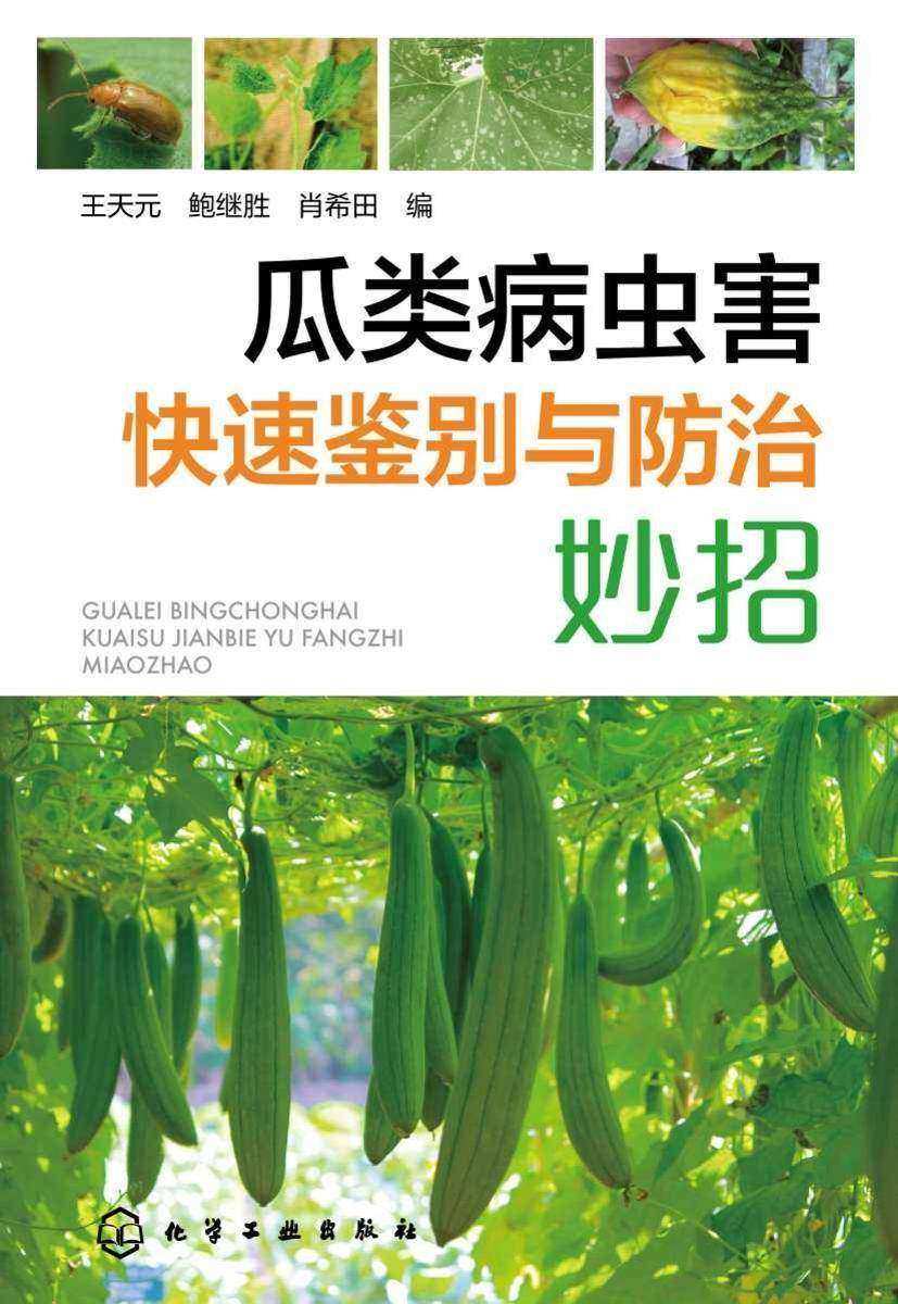 瓜类病虫害快速鉴别与防治妙招