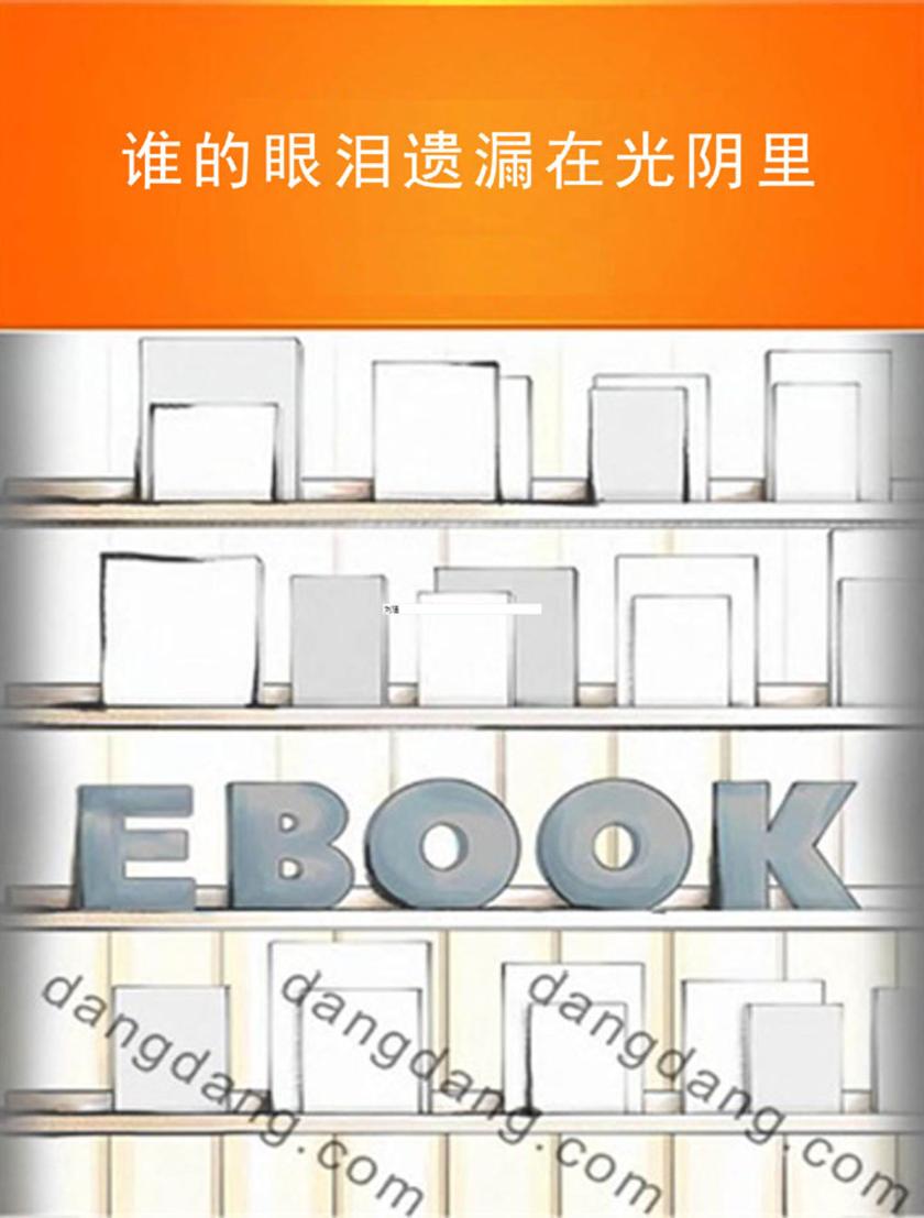 谁的眼泪遗漏在光阴里