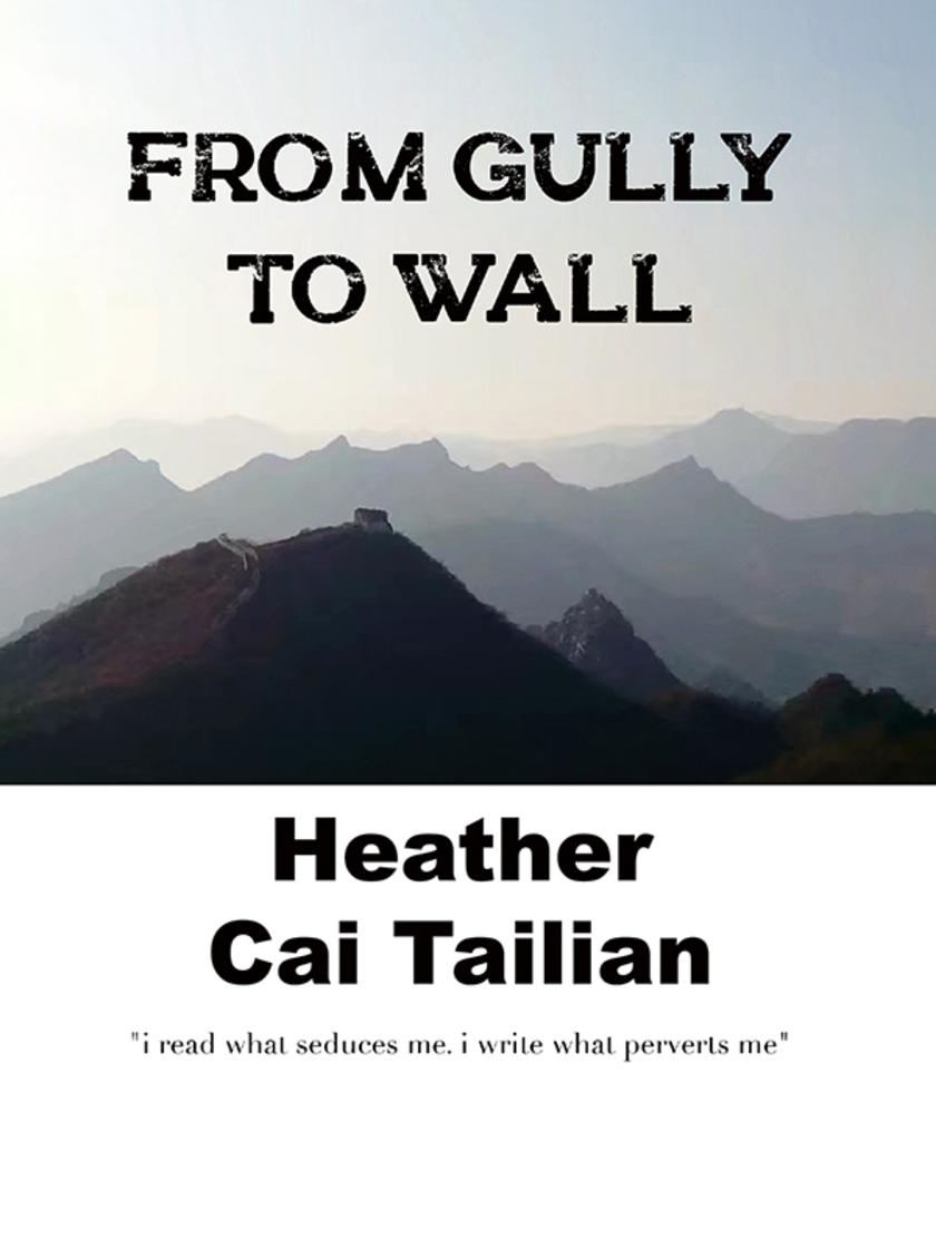 FROM GULLY TO WALL