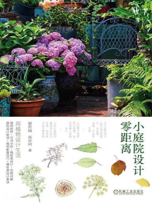 小庭院设计零距离