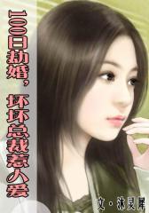 100日劫婚，坏坏总裁惹人爱