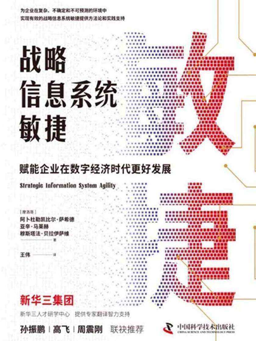战略信息系统敏捷:赋能企业在数字经济时代更好发展
