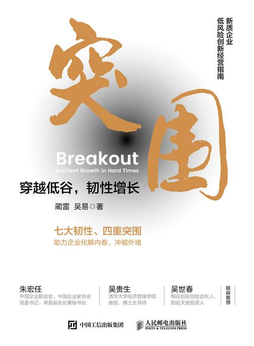 突围:穿越低谷,韧性增长