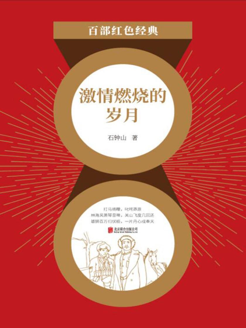 激情燃烧的岁月