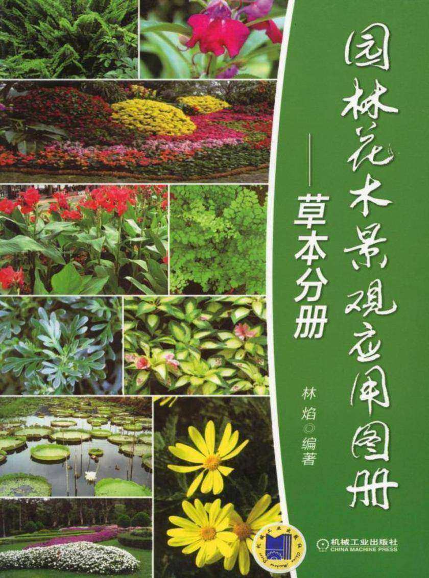 园林花木景观应用图册——草本分册