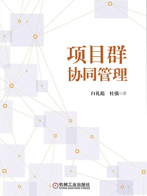项目群协同管理