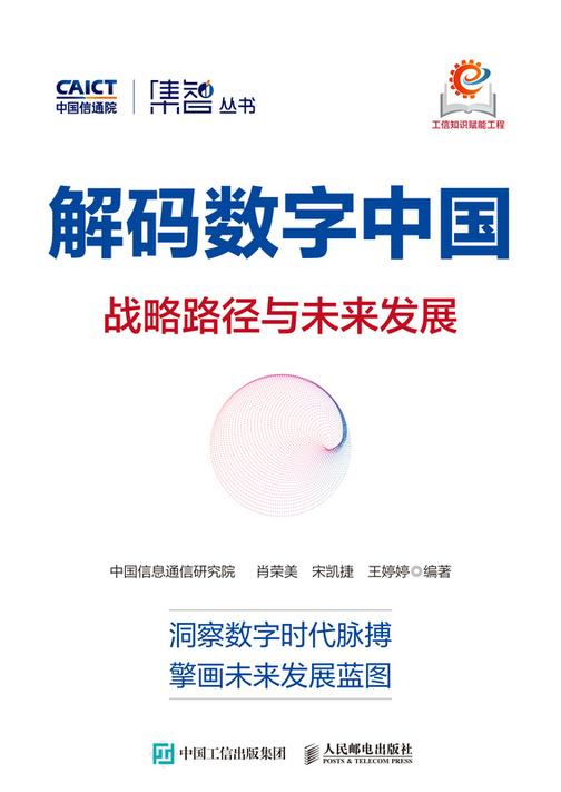 解码数字中国:战略路径与未来发展