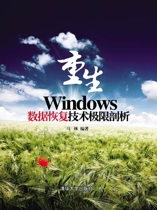 重生——Windows数据恢复技术极限剖析(仅适用PC阅读)