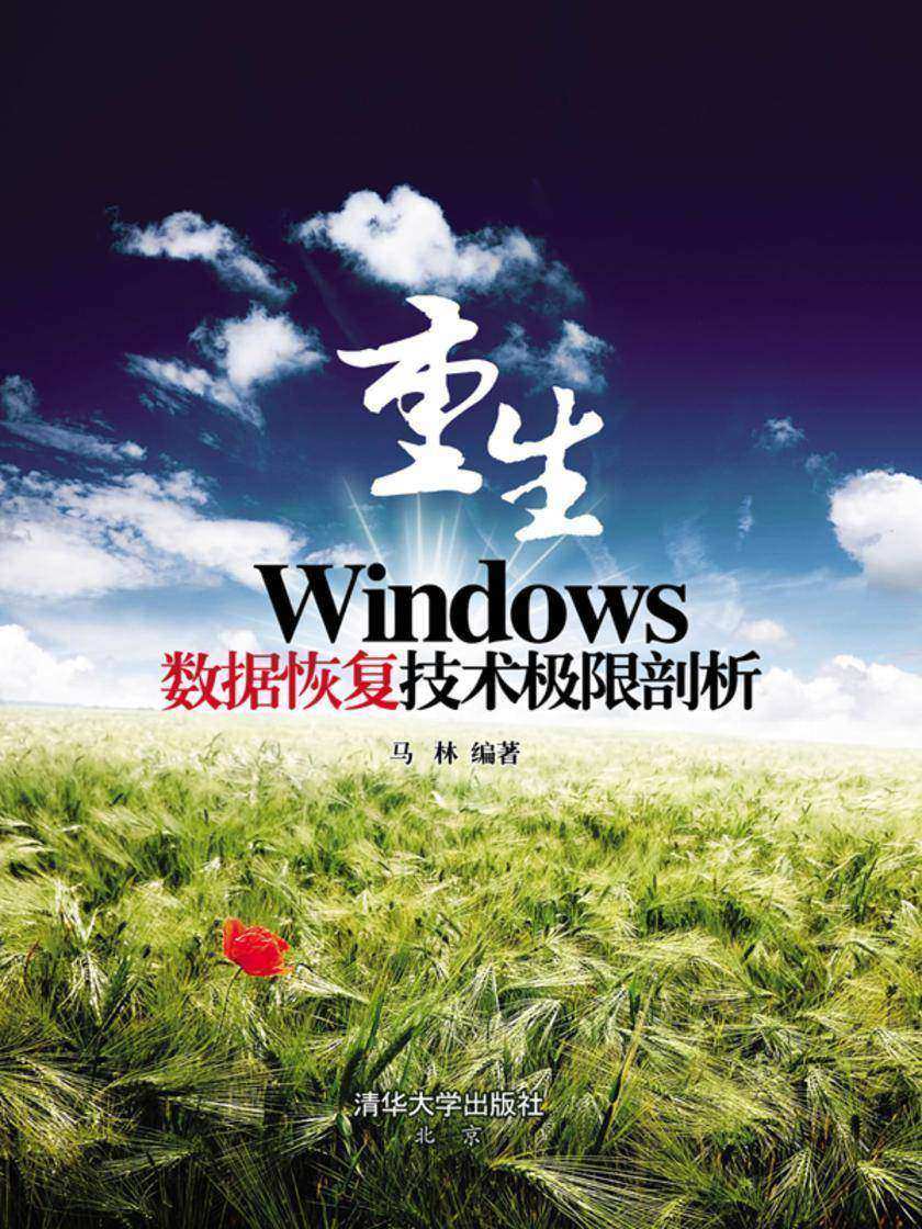 重生——Windows数据恢复技术极限剖析(仅适用PC阅读)