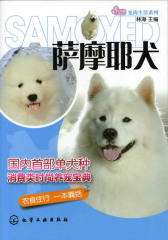 萨摩耶犬