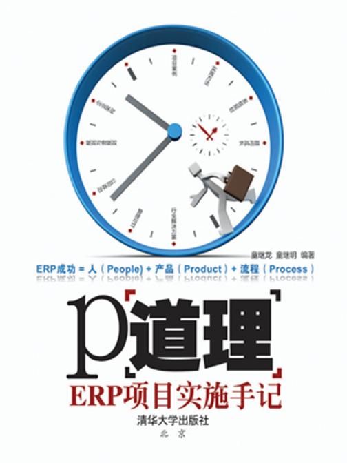 P道理——ERP项目实施手记