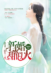 新婚甜似火：鲜妻，二胎生一对