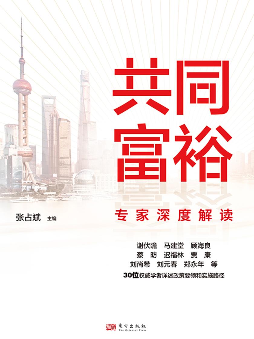 共同富裕专家深度解读