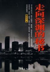 走向深渊的秘书