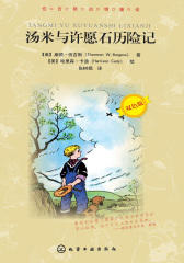 汤米与许愿石历险记