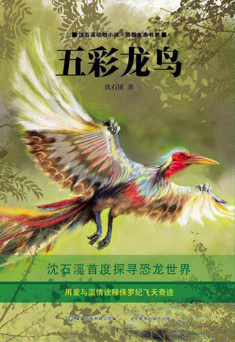 五彩龙鸟