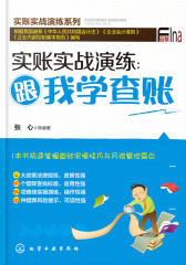 实账实战演练：跟我学查账