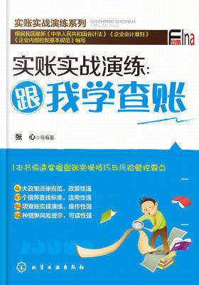 实账实战演练:跟我学查账