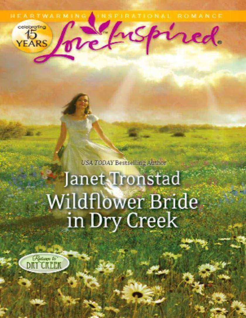Wildflower Bride in Dry Creek (Mills & Boon Love Inspired) (Return to Dry Creek,